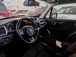 جيب رينيجيد